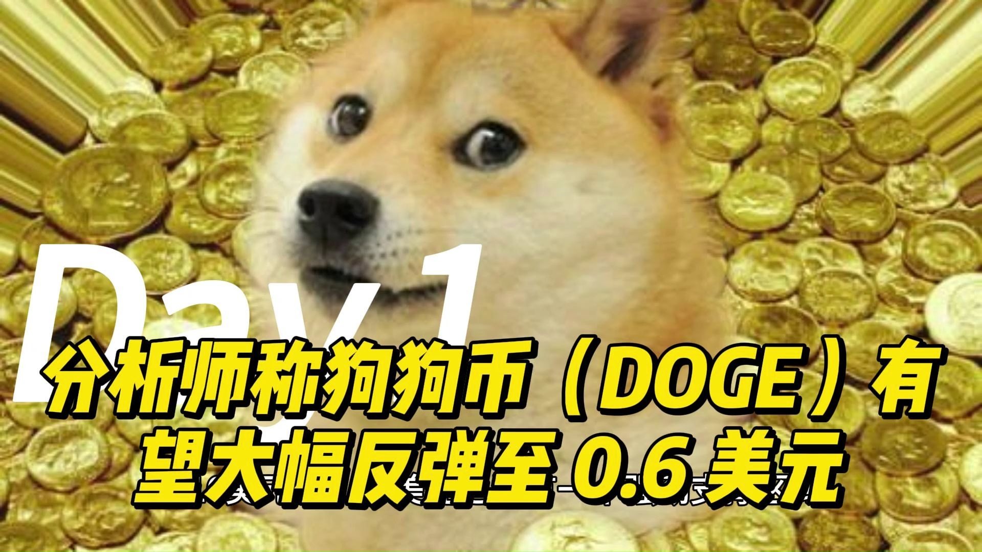 狗狗币创下年内新高，上扬幅高达30.17%，还能追吗？-九游体育